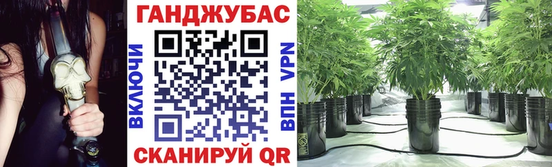 Где купить Ленинградская Гашиш  АМФЕТАМИН  МЕФ  Марихуана  КОКАИН  Альфа ПВП 