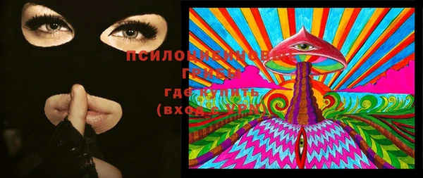 PSILOCYBIN Михайловск