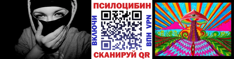 Галлюциногенные грибы Psilocybine cubensis  Ленинградская 